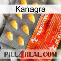 Kanagra new01